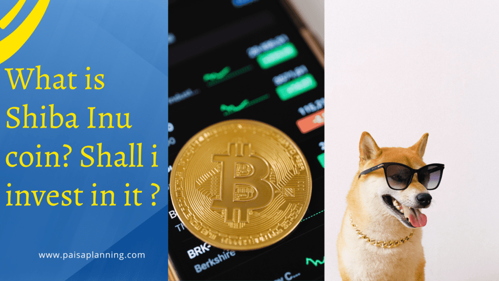 What is Shiba Inu coin ? Shall i invest in it in 2023 ?